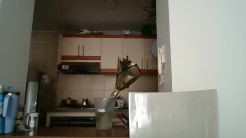 Snapshot of sarita_start chatting on 05/11/26, 03:40 sarita_start online show from 05/11/26, 03:40