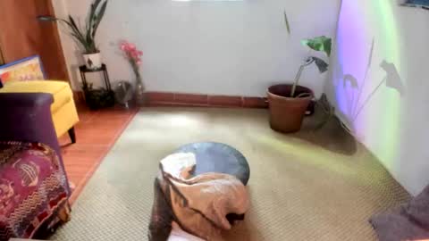 Ms. Oh   online show from 01/15/26, 06:33