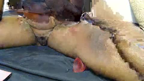 pety online show from 01/31/26, 07:11