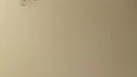 Snapshot of saucybear666 chatting on 01/26/25, 05:13 SnowBunny online show from 01/26/25, 05:13