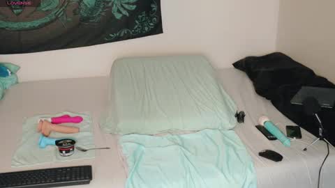 Snapshot of savethebea chatting on 12/29/24, 04:30 Bea online show from 12/29/24, 04:30