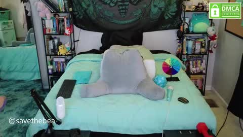 Snapshot of savethebea chatting on 11/17/25, 06:57 Bea online show from 11/17/25, 06:57