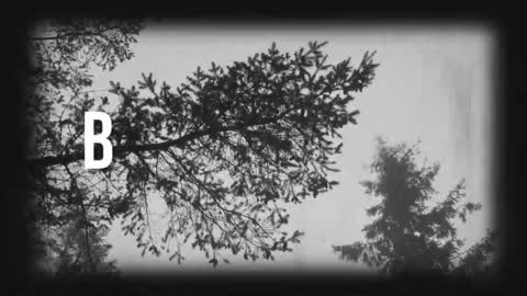 pronoun she. name Mary. age 21. online show from 03/19/26, 11:31