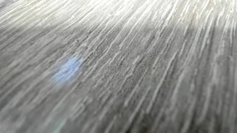 sayo_mao18 online show from 03/17/26, 01:54