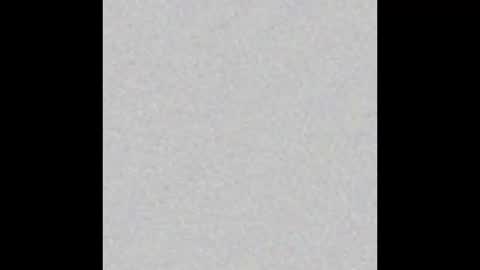 Snapshot of scalertt__steel_ chatting on 10/05/25, 02:59 Venus online show from 10/05/25, 02:59