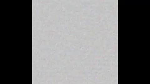 Snapshot of scalertt__steel_ chatting on 11/02/25, 02:08 Venus online show from 11/02/25, 02:08