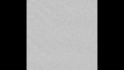 Snapshot of scalertt__steel_ chatting on 11/23/25, 02:50 Venus online show from 11/23/25, 02:50