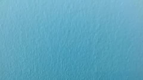 scarlet771776 online show from 11/29/25, 08:12