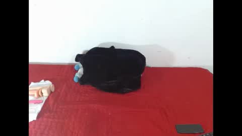 Scarletfox Fox online show from 02/12/26, 07:31