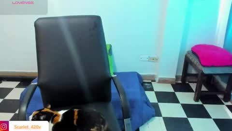 Scarlett online show from 03/19/26, 08:57