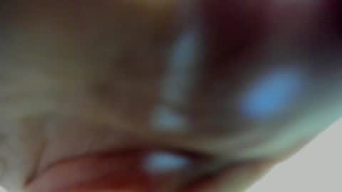 Scarlett zin follow me online show from 03/27/26, 04:51