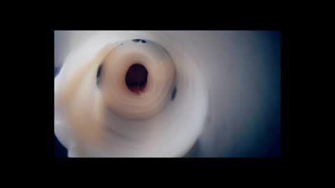 Scarr online show from 02/02/26, 02:38