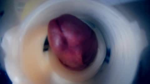 Scarr online show from 02/09/26, 12:20