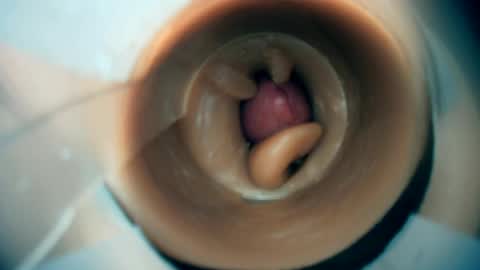 Scarr online show from 03/01/26, 08:00