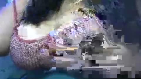 mai latina online show from 04/25/26, 10:40