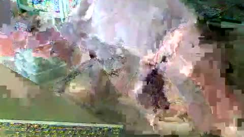 scotthard online show from 03/14/26, 06:57