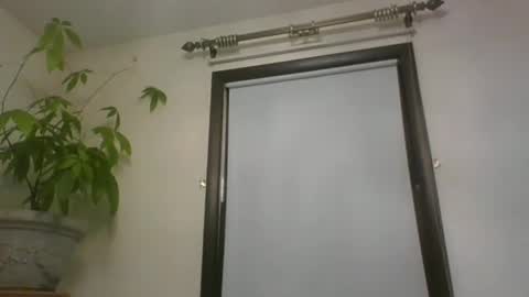 scottpbi52 online show from 12/22/24, 12:16