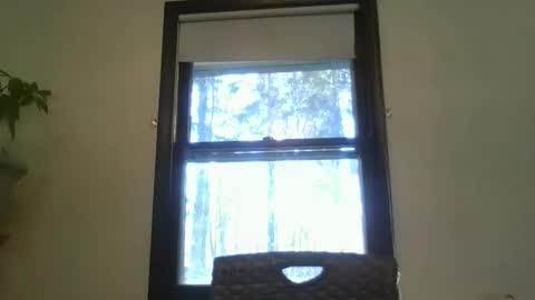 scottpbi52 online show from 02/07/25, 07:27