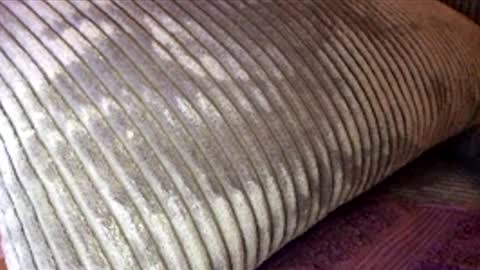 scotty2hotty46_ online show from 02/21/26, 05:41