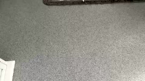 Snapshot of scottyc48 chatting on 11/08/25, 10:04 scottyc48 online show from 11/08/25, 10:04