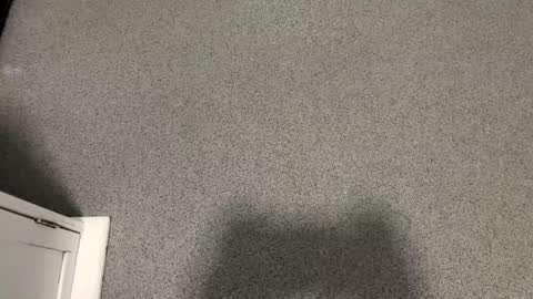 scottyc48 online show from 11/12/25, 02:39