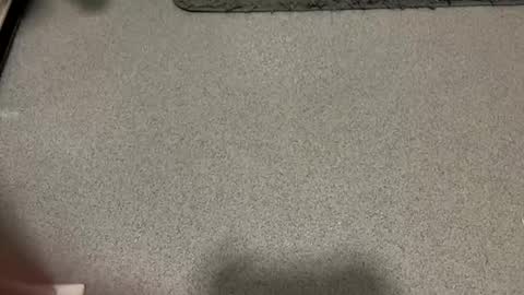 scottyc48 online show from 12/01/25, 02:11