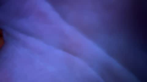 Snapshot of scottyn69 chatting on 01/22/25, 01:31 scottyn69 online show from 01/22/25, 01:31