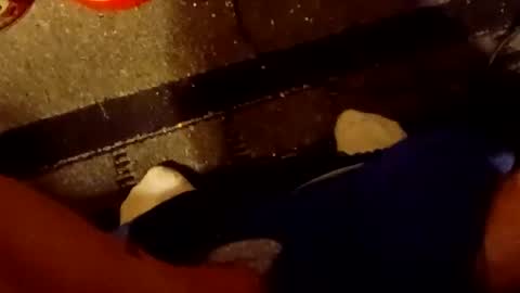 Snapshot of scruples99273286 chatting on 10/05/25, 08:34 scruples99273286 online show from 10/05/25, 08:34