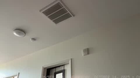 Snapshot of seb_tv chatting on 10/15/25, 06:08 Sebastian online show from 10/15/25, 06:08