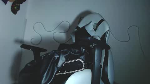 Snapshot of sebastian_025 chatting on 11/08/25, 09:13 Sebastian online show from 11/08/25, 09:13