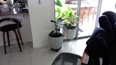 sebastianalll online show from 12/30/24, 12:22