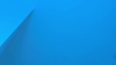 Snapshot of sebax_00 chatting on 12/02/25, 03:45 Sebastian online show from 12/02/25, 03:45