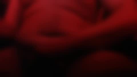 Apple online show from 03/09/25, 02:50