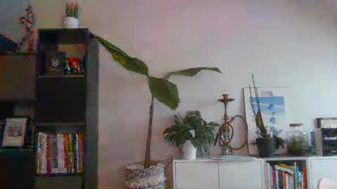 Snapshot of sebix9206 chatting on 02/13/25, 08:27 sebix9206 online show from 02/13/25, 08:27