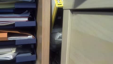 Snapshot of sebnours chatting on 09/22/25, 09:55 sebnours online show from 09/22/25, 09:55