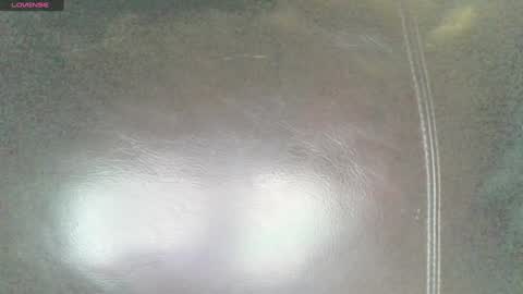 Sunny online show from 01/29/25, 04:58