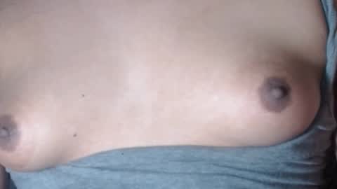 Selda online show from 02/17/26, 08:44