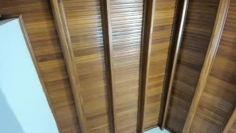 Selene online show from 04/05/26, 07:44