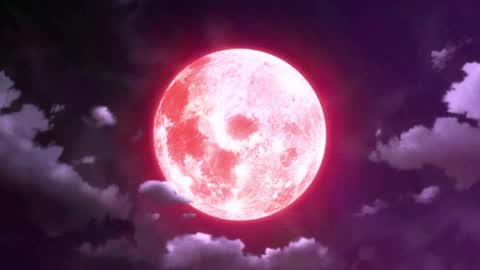 Selene G  online show from 05/15/26, 02:51