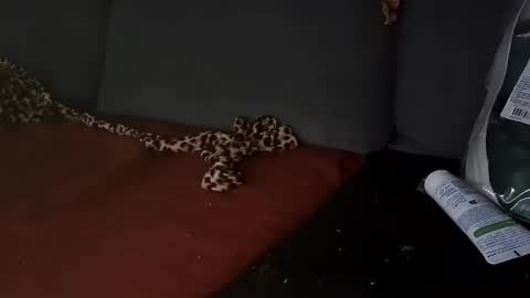 Julian Kinky Bi-guy online show from 03/28/26, 09:53