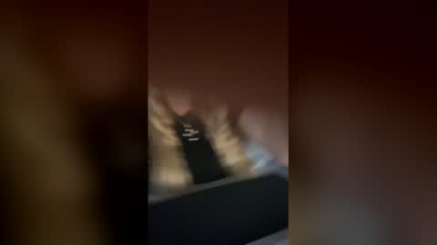 Snapshot of selviana chatting on 11/25/25, 10:15 Alina online show from 11/25/25, 10:15