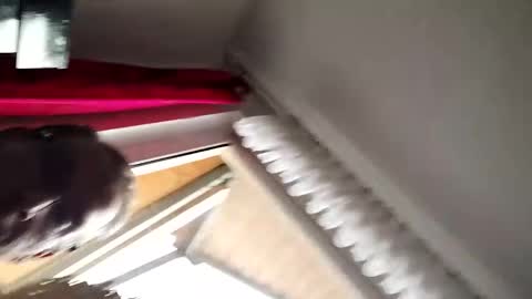 senda82 online show from 01/01/25, 09:39