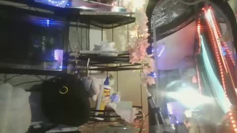 Snapshot of sequoia8888 chatting on 10/29/25, 07:26 sequoia8888 online show from 10/29/25, 07:26