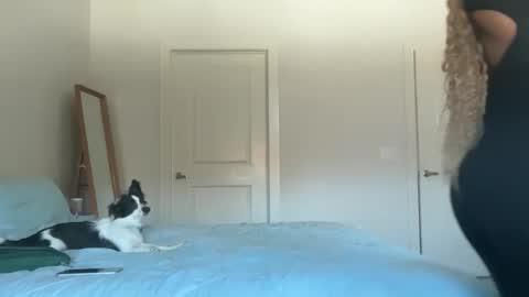 Serenity Bee   online show from 11/17/25, 05:52