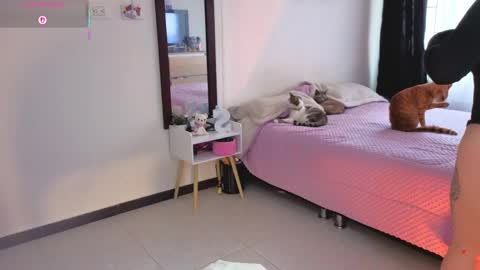 Serenna Cruz online show from 03/31/26, 08:31