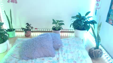 samy online show from 04/10/26, 02:06