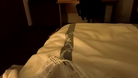 sevenorder online show from 01/20/25, 05:04