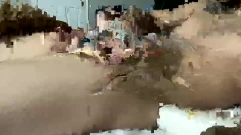 seximexibbc online show from 01/11/25, 06:35