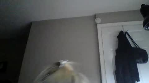 sexxiibossbabe online show from 12/19/25, 07:32