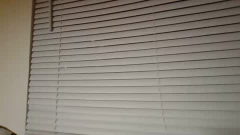 Snapshot of sexxjunkiee chatting on 01/19/25, 02:15 SEXX JUNKIEE online show from 01/19/25, 02:15